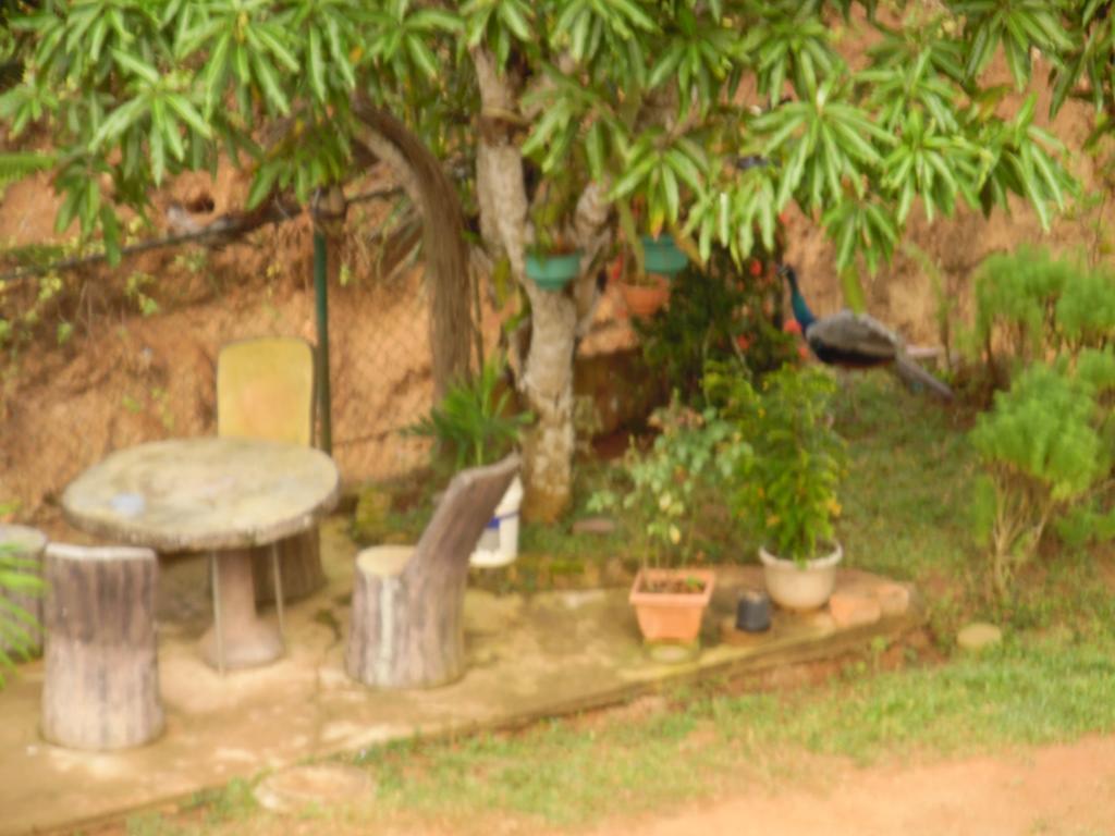 Mount View Villa Resort Mirissa Exterior foto